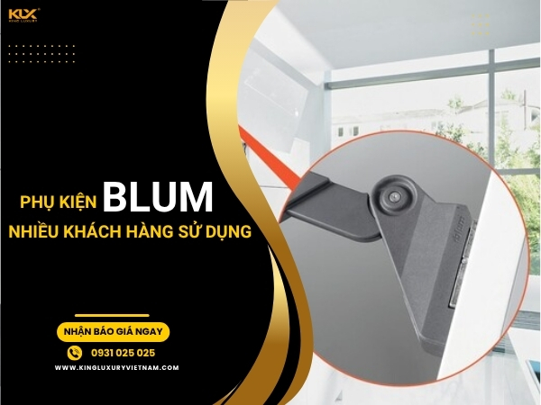 Top các phụ kiện tủ bếp Blum nhiều người ưa chuộng hiện nay